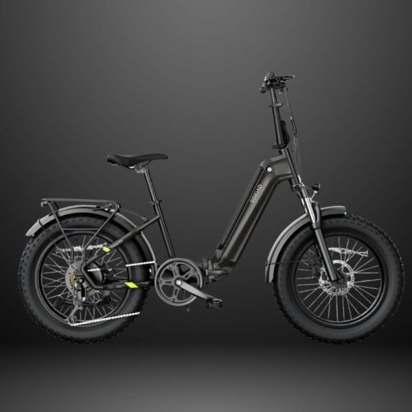 20" Champ Ext Fat Tire Folding Electric Bike