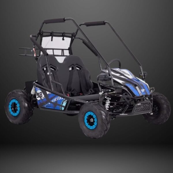 2000W Electric Go-Kart