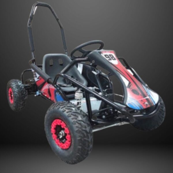 1000 watt 48 Volt electric Go-Kart